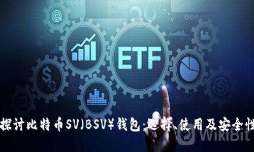 深入探讨比特币SV（BSV）钱包：选择、使用及安全性全解