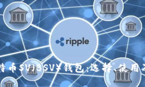 深入探讨比特币SV（BSV）钱包：选择、使用及安全性全解