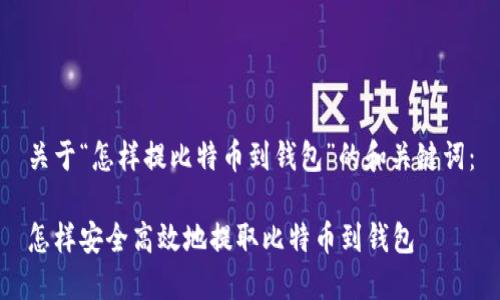关于“怎样提比特币到钱包”的和关键词：

怎样安全高效地提取比特币到钱包