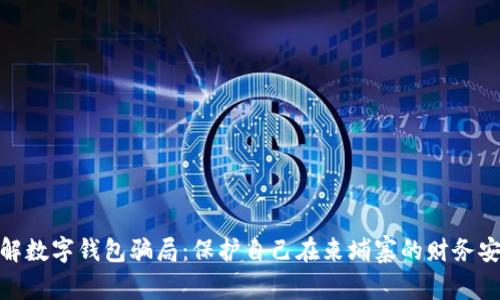 破解数字钱包骗局：保护自己在柬埔寨的财务安全