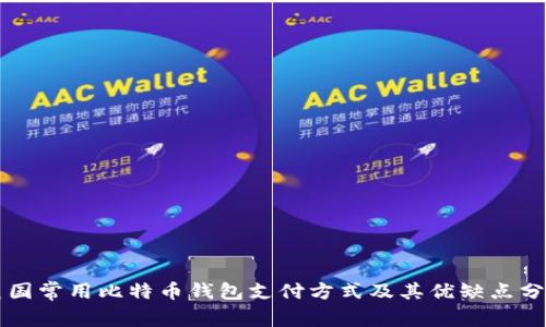 美国常用比特币钱包支付方式及其优缺点分析