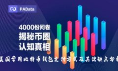 美国常用比特币钱包支付