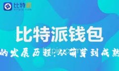 比特币钱包的发展历程：