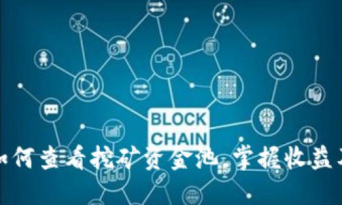 TP钱包如何查看挖矿资金池，掌握收益及时兑付