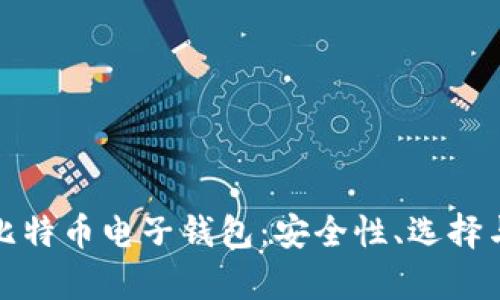 全面解析比特币电子钱包：安全性、选择与使用技巧
