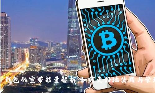 TP钱包的宽带能量解析：如何更好地使用与管理