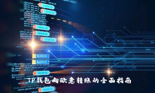   TP钱包向欧意转账的全面指南 
