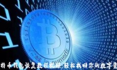 比特币钱包恢复教程视频