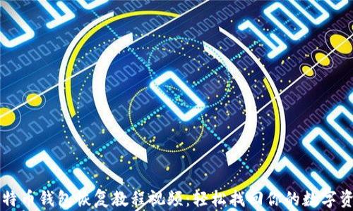 
比特币钱包恢复教程视频：轻松找回你的数字资产