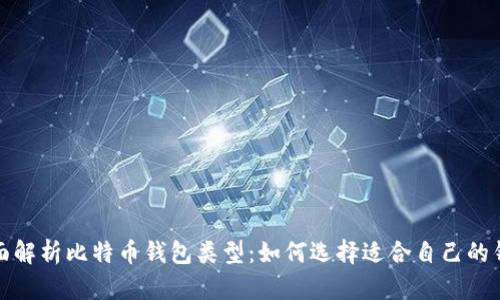 全面解析比特币钱包类型：如何选择适合自己的钱包