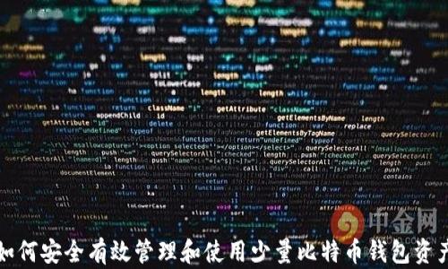 
如何安全有效管理和使用少量比特币钱包资产