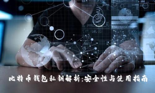 比特币钱包私钥解析：安全性与使用指南