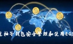 如何通过柚子钱包安全管