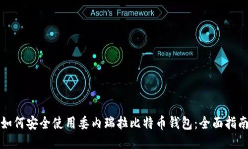 如何安全使用委内瑞拉比特币钱包：全面指南