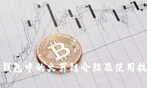 TP钱包中的火葬链介绍及使用技巧