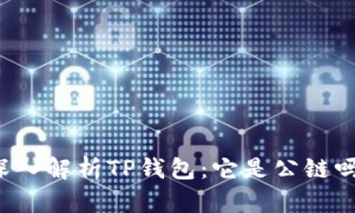 深入解析TP钱包：它是公链吗？