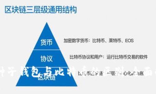 BT种子钱包与比特币的区别：全面解析