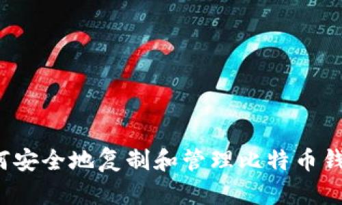 如何安全地复制和管理比特币钱包？