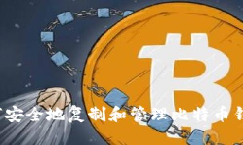 如何安全地复制和管理比特币钱包？