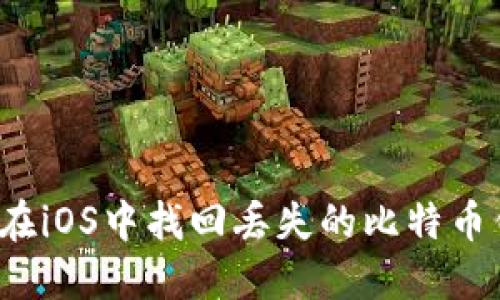 如何在iOS中找回丢失的比特币钱包？