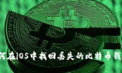 如何在iOS中找回丢失的比