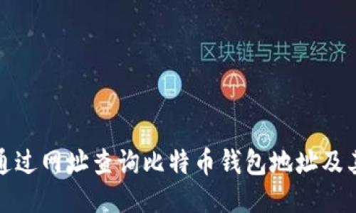如何通过网址查询比特币钱包地址及其余额