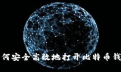 如何安全高效地打开比特
