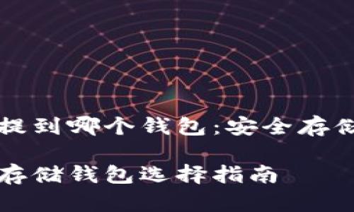 狗狗币可以提到哪个钱包：安全存储与操作指南

狗狗币安全存储钱包选择指南