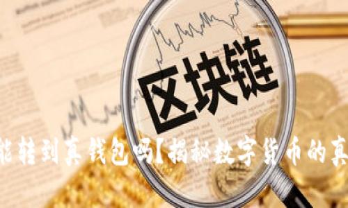  假USDT能转到真钱包吗？揭秘数字货币的真实与风险