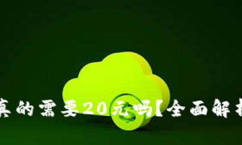 TP钱包激活真的需要20元吗？全面解析与使用指南