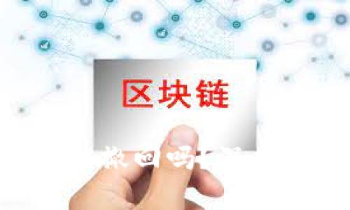Token钱包转账能撤回吗？深度解析与实用指南