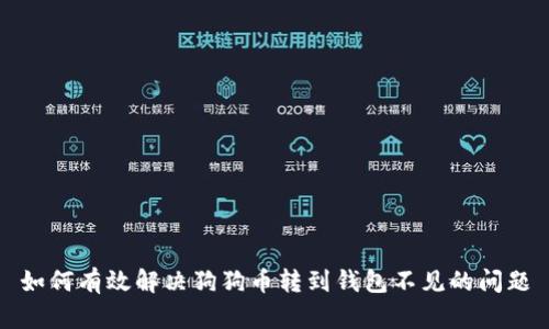 如何有效解决狗狗币转到钱包不见的问题