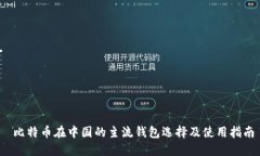  比特币在中国的主流钱包选择及使用指南
