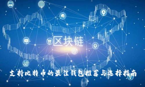 支持比特币的最佳钱包推荐与选择指南