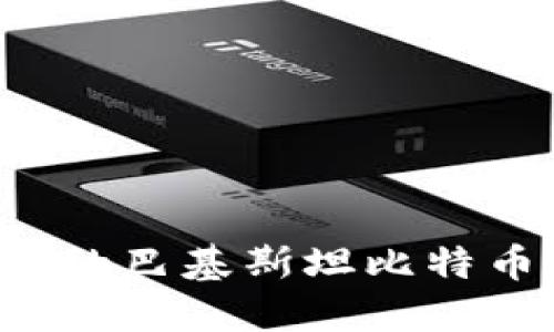 选择安全又便捷的巴基斯坦比特币钱包：用户指南