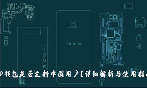 TP钱包是否支持中国用户？详细解析与使用指南