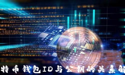 
比特币钱包ID与公钥的关系解析