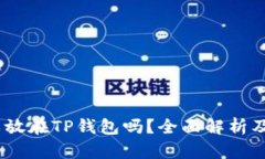 USDT可以放在TP钱包吗？全