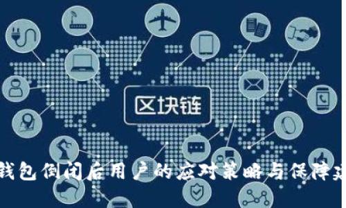TP钱包倒闭后用户的应对策略与保障建议