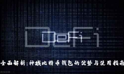全面解析：神域比特币钱包的优势与使用指南