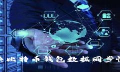 如何解决比特币钱包数据