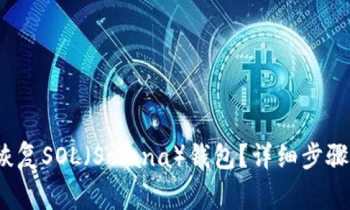  如何有效恢复SOL（Solana）钱包？详细步骤与注意事项