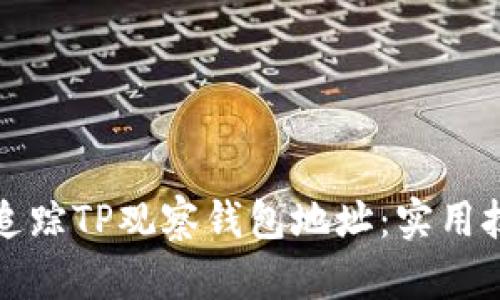 如何有效追踪TP观察钱包地址：实用技巧与工具