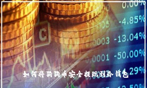  如何将狗狗币安全提现到冷钱包