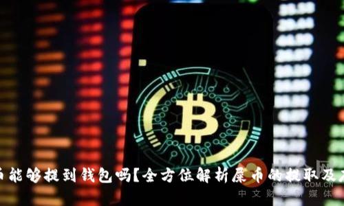 屎币能够提到钱包吗？全方位解析屎币的提取及存储