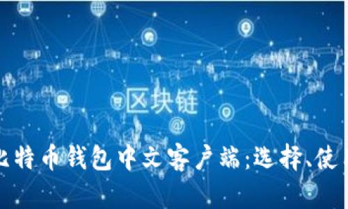 全面解析比特币钱包中文客户端：选择、使用与安全性