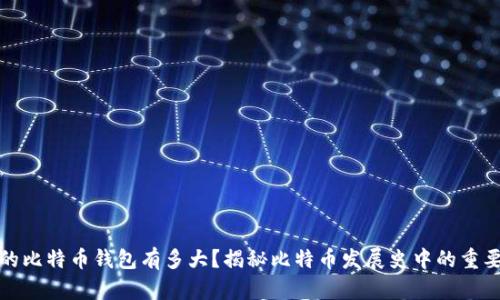 最早的比特币钱包有多大？揭秘比特币发展史中的重要一环