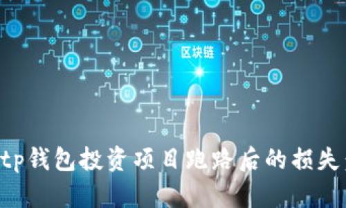 如何追讨tp钱包投资项目跑路后的损失：全面指南