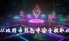 如何从比特币钱包中安全