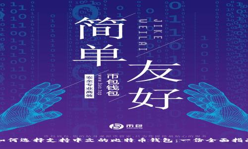 如何选择支持中文的比特币钱包：一份全面指南